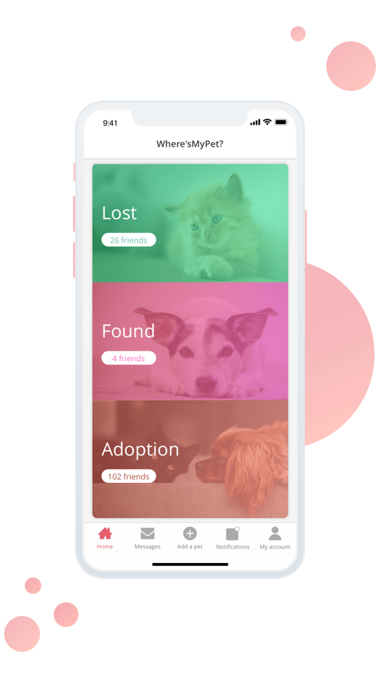 Chat & Notifications