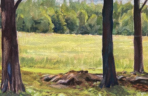 Wild about Watercolor 2022