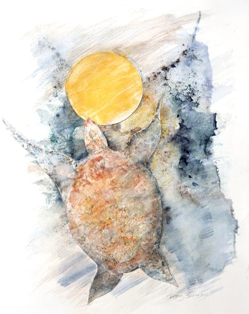 Wild about Watercolor 2023