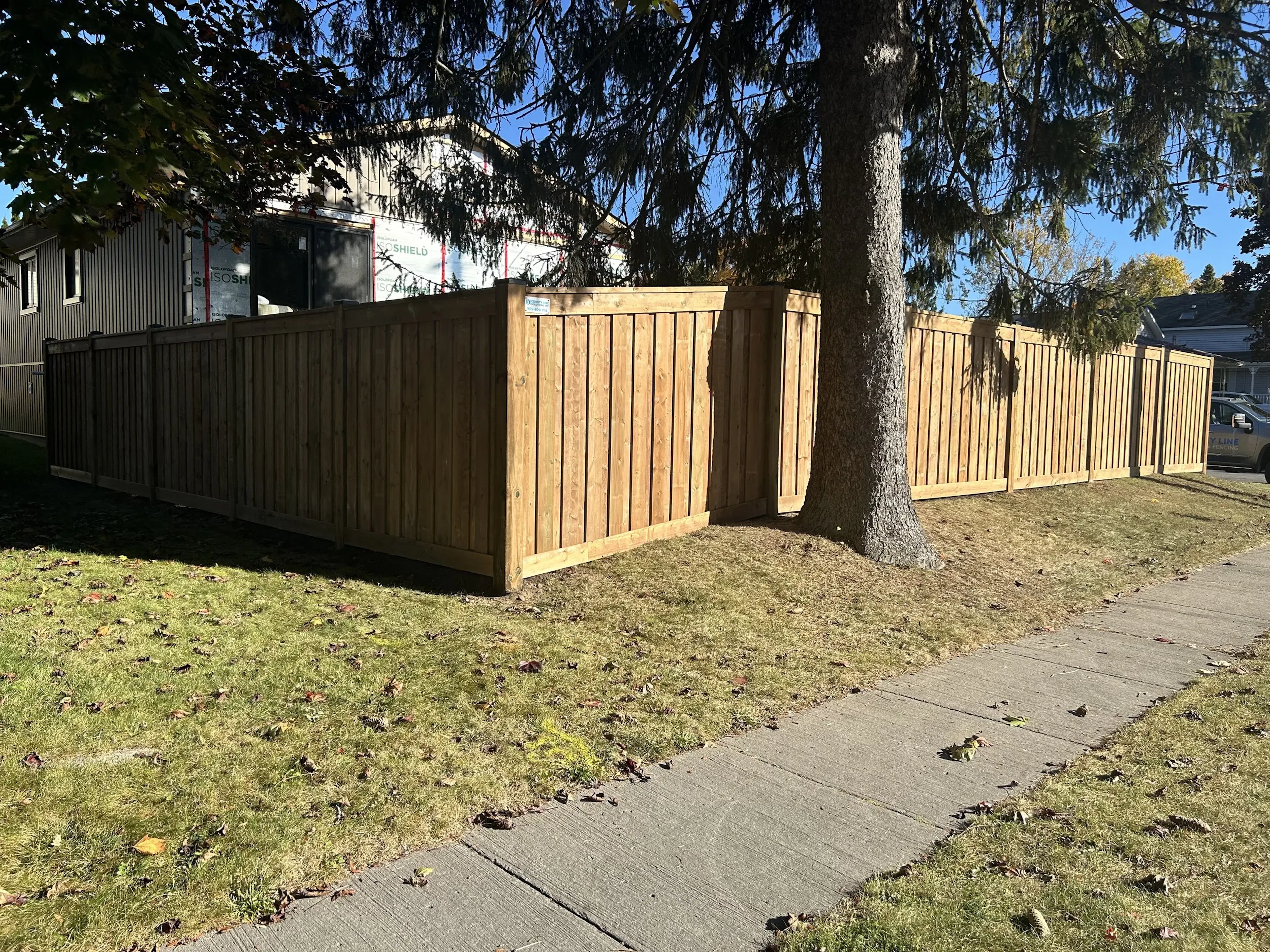 A newly constructed wooden privacy fence surrounds a residential property, with a large tree trunk visible in the foreground.