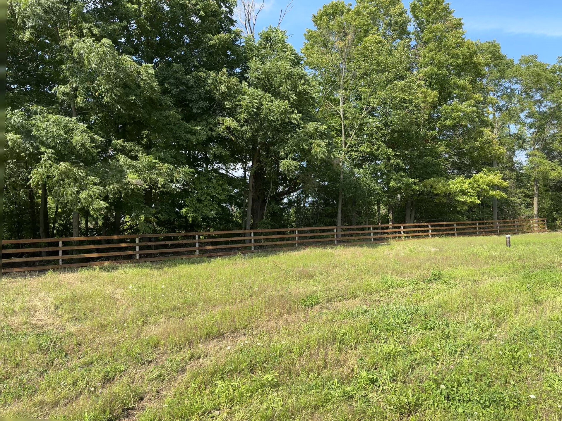 An agricultural wooden fence runs along the edge of a grassy field, with a dense line of trees behind it under a bright blue sky.