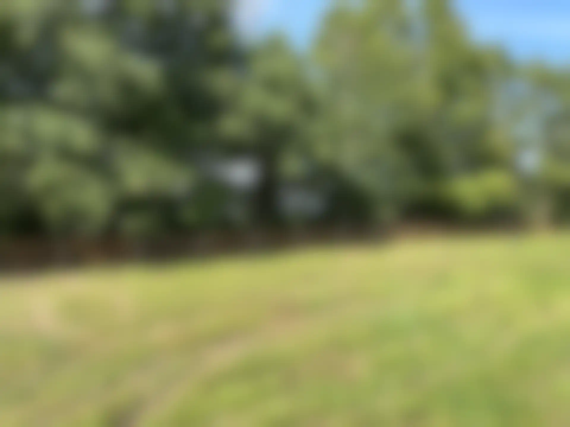 An agricultural wooden fence runs along the edge of a grassy field, with a dense line of trees behind it under a bright blue sky.