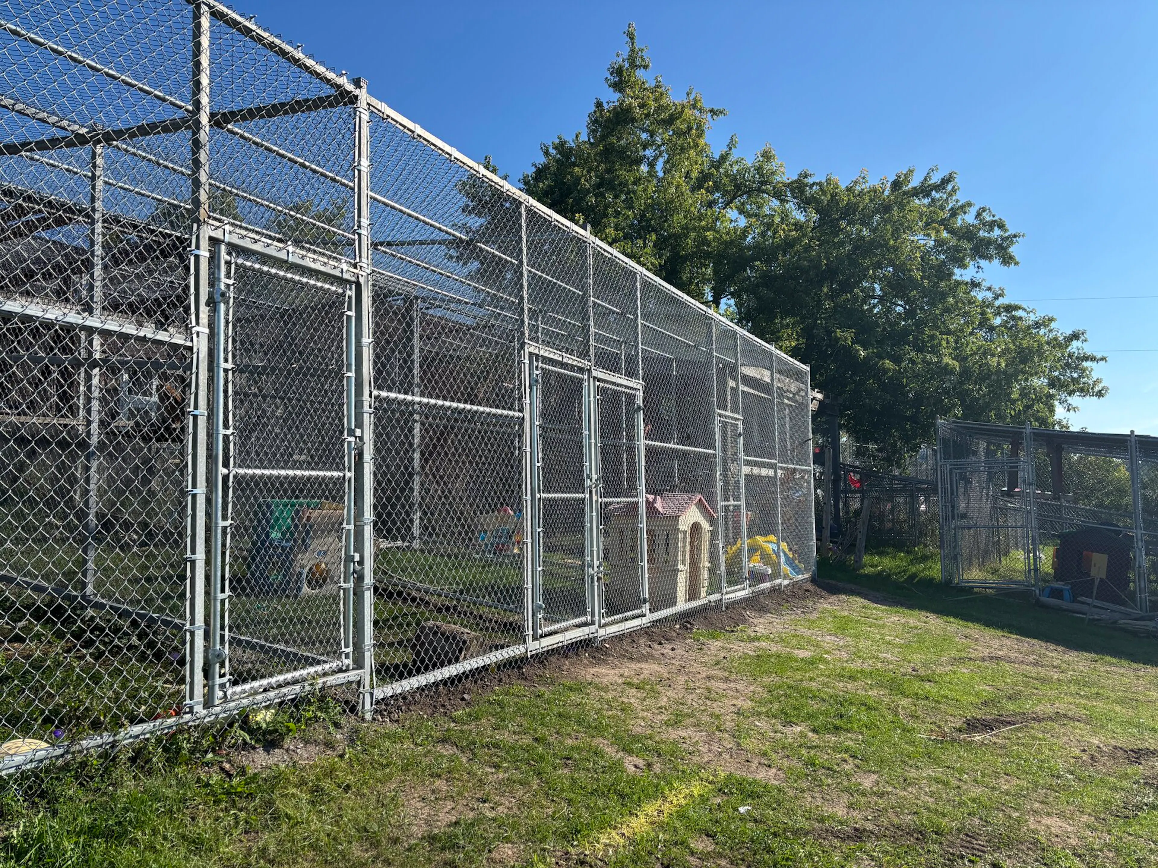 A large outdoor enclosure with metal mesh walls and a clear blue sky above. Trees are visible in the background.