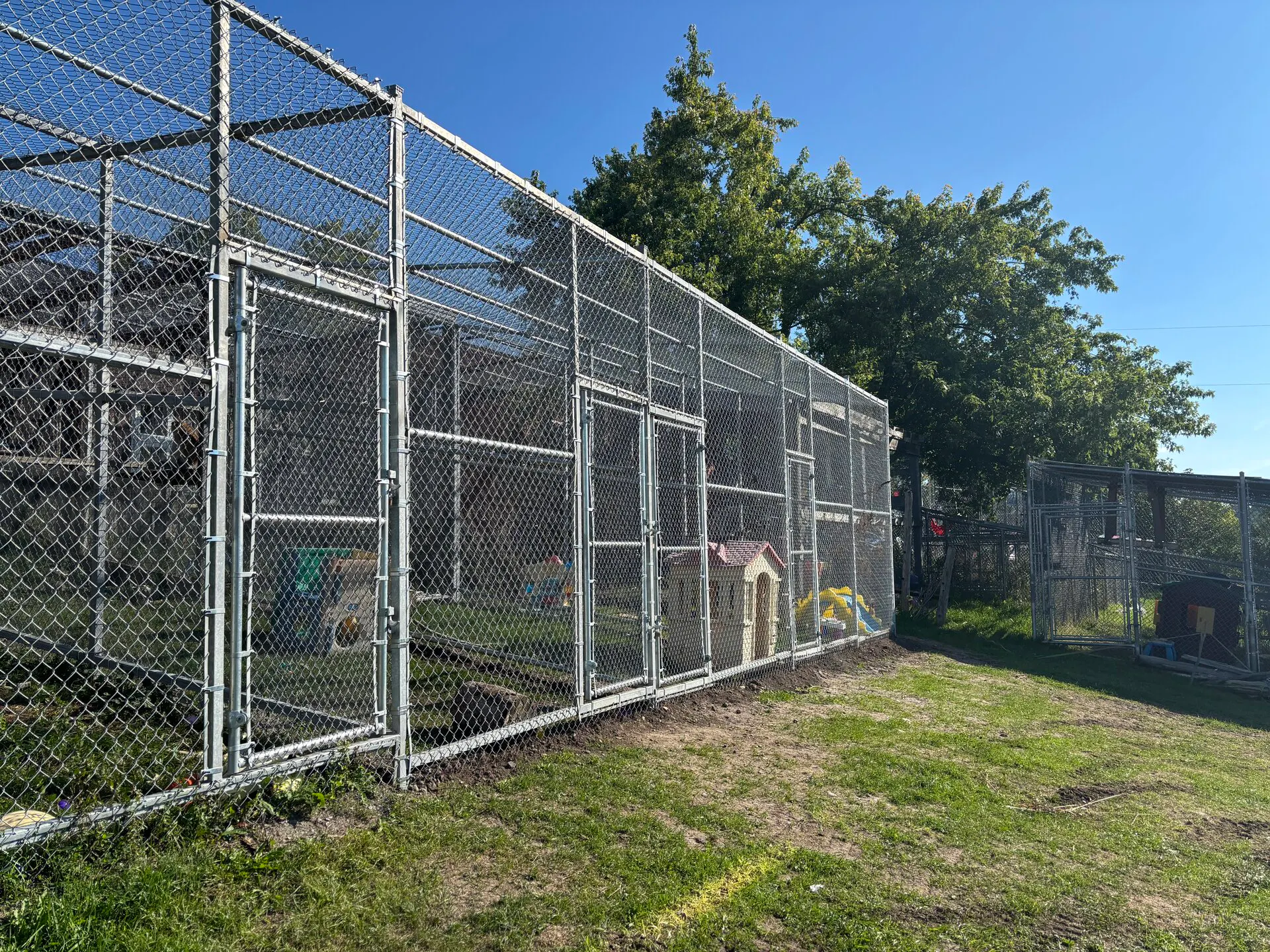 A large outdoor enclosure with metal mesh walls and a clear blue sky above. Trees are visible in the background.