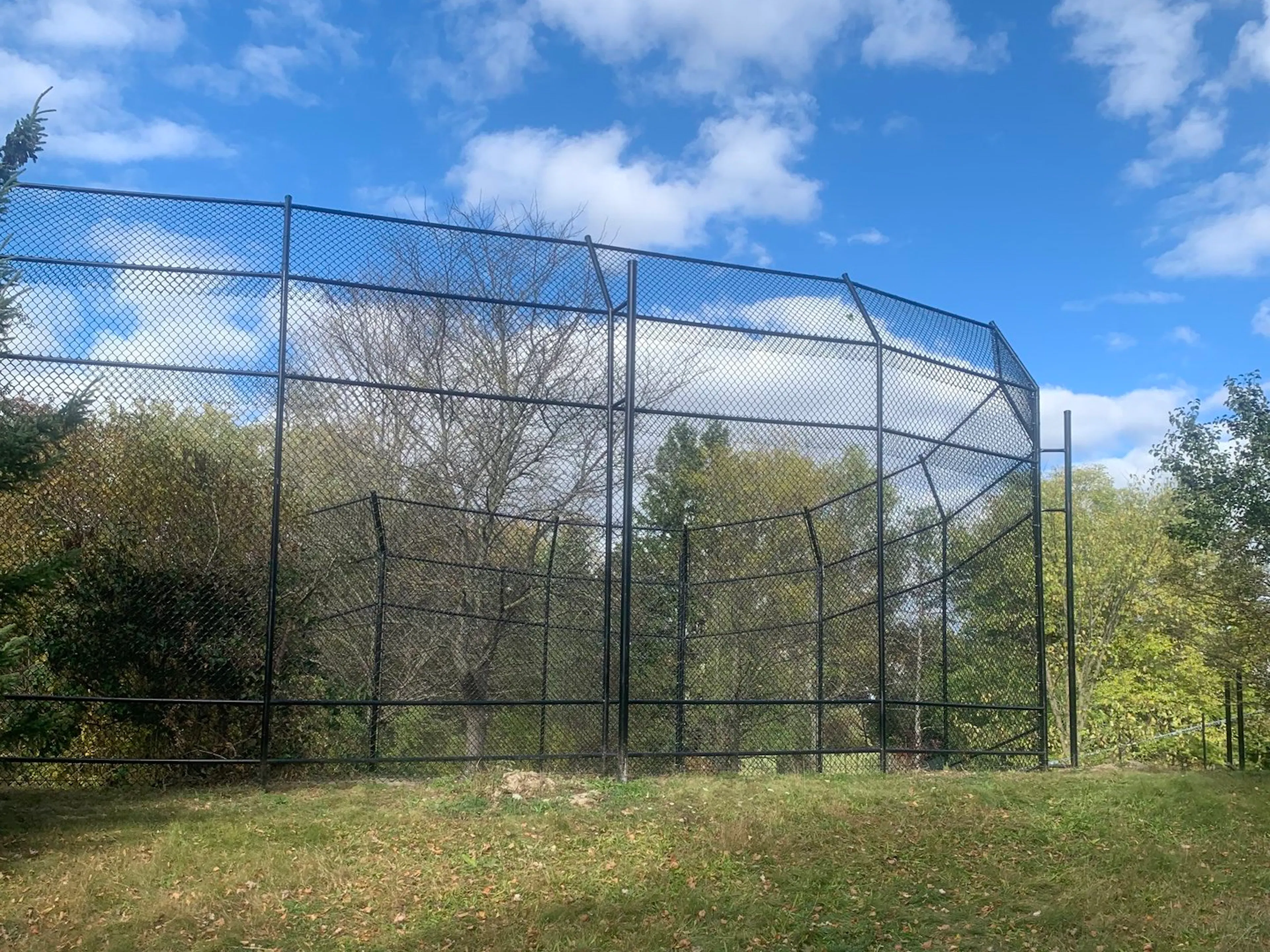 A large, netted enclosure with metal poles, surrounded by trees and a bright blue sky with scattered clouds.