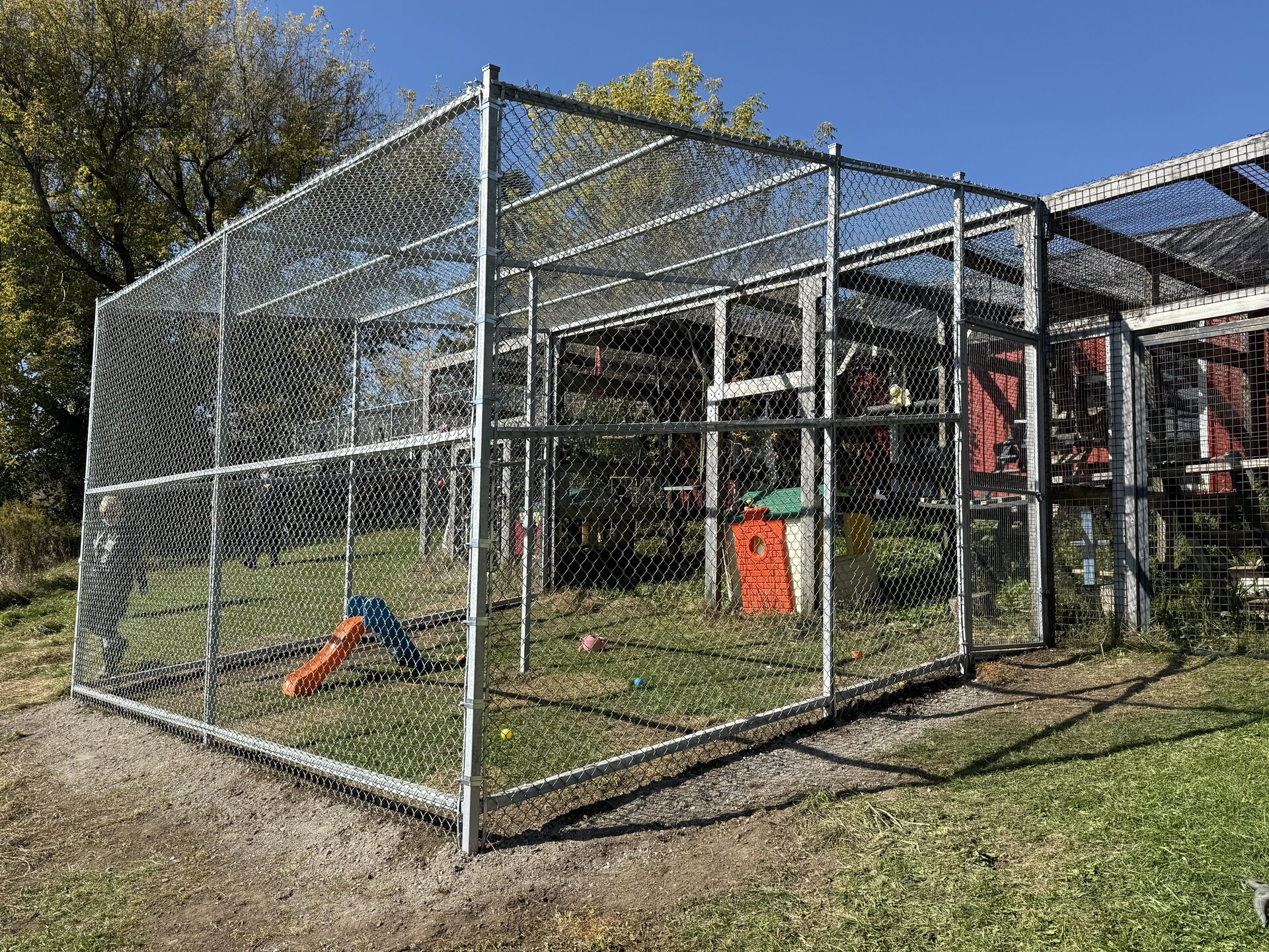 A large outdoor animal enclosure made of metal framing and wire mesh, with a small orange and white shelter inside and a slide on the left.