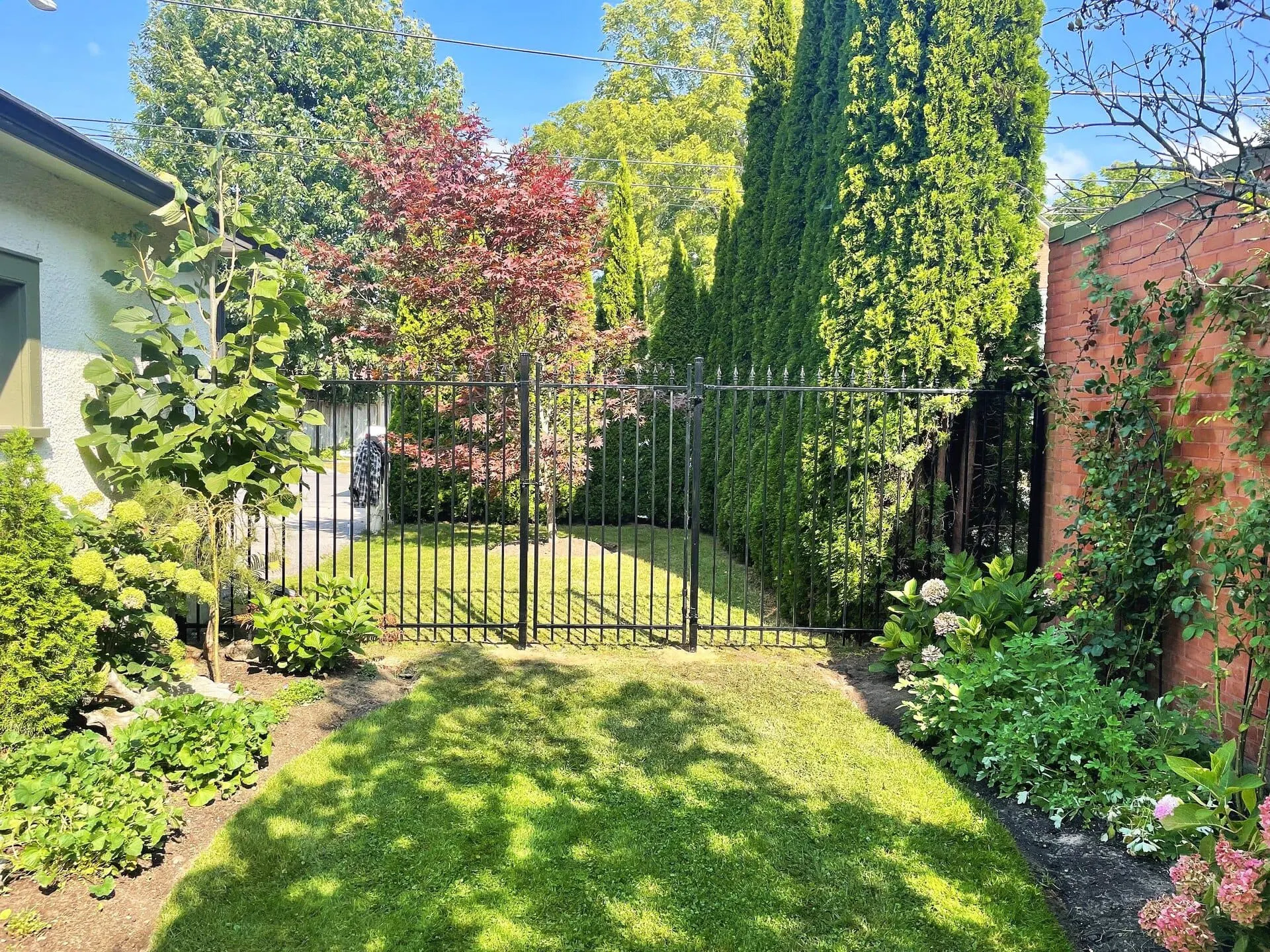 A lush green backyard with a black ornamental gate, surrounded by manicured trees, shrubs, and flowering plants under a bright blue sky in a residential area.