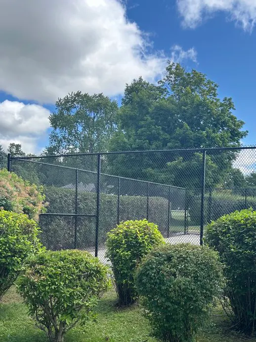 A sunny day with fluffy clouds and green trees in the background, with bushes in the foreground of an outdoor tennis court with high black sporting chain-link fencing surrounding the perimeter of the facility.