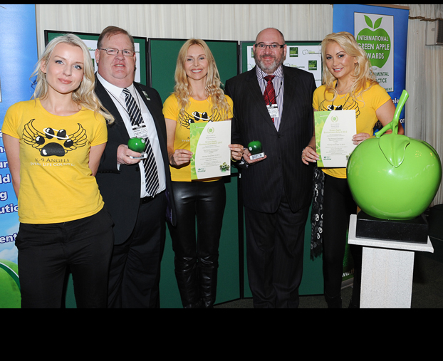 McLaren Wins Green Apple Environmental Award