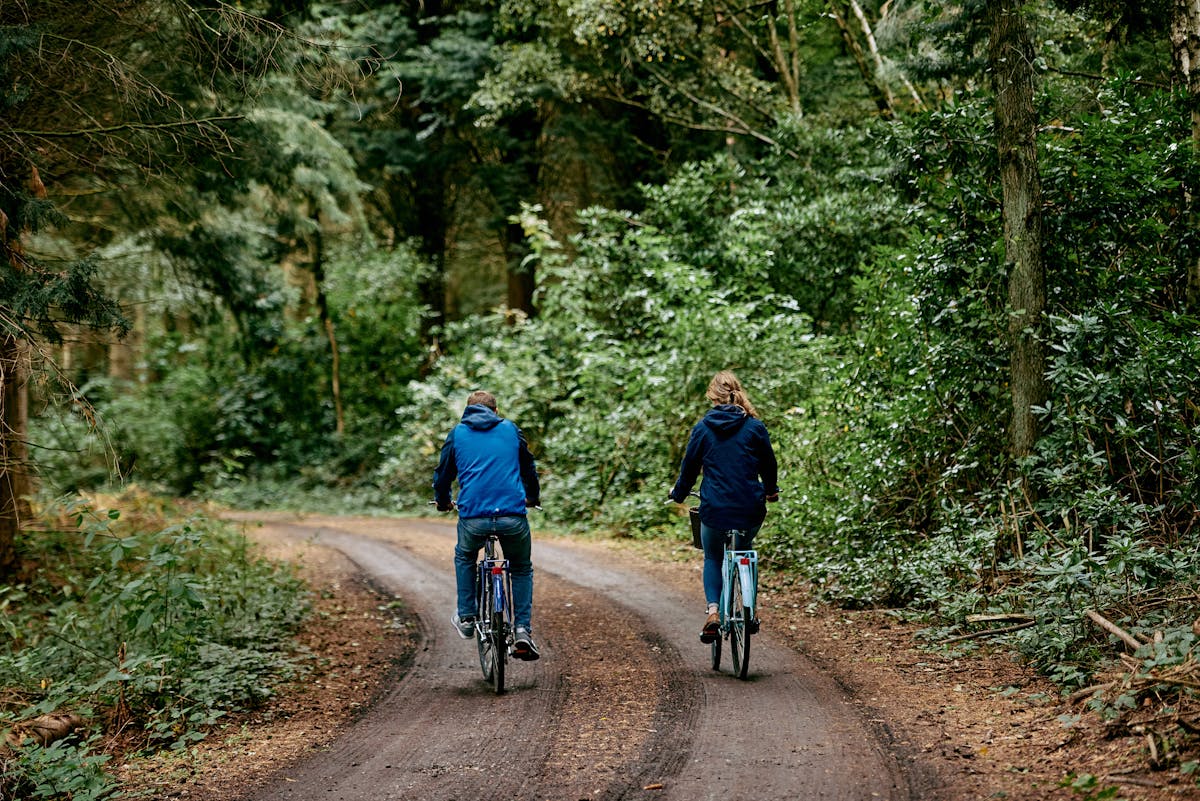 Bradford Estates — Mcmullan Studio Design & Architecture