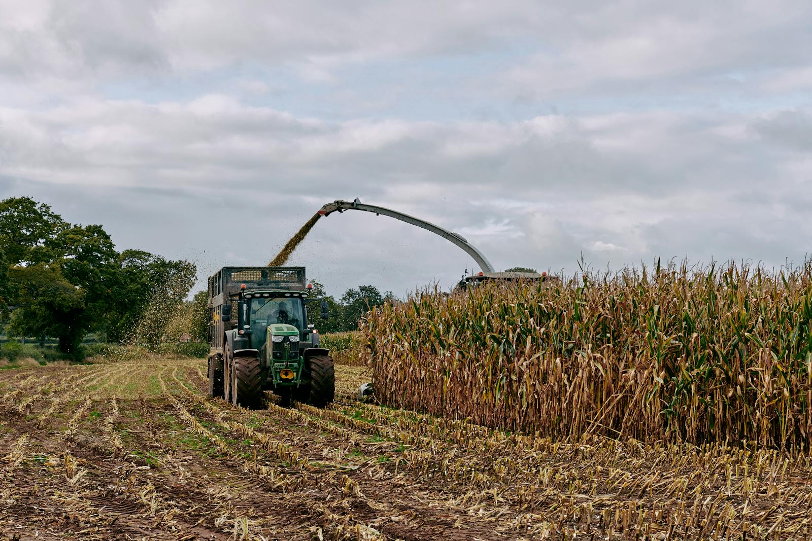 Bradford Estates — Mcmullan Studio Design & Architecture