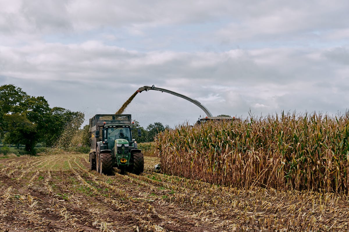 Bradford Estates — Mcmullan Studio Design & Architecture