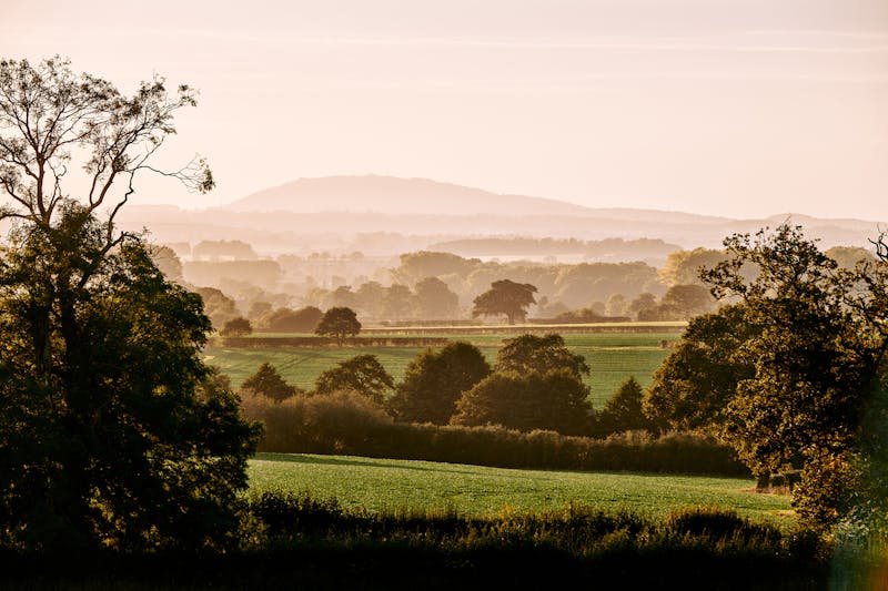 Bradford Estates — Mcmullan Studio Design & Architecture