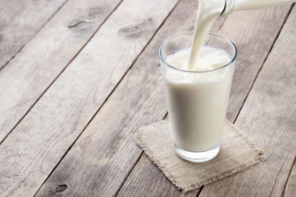 Cow's milk 