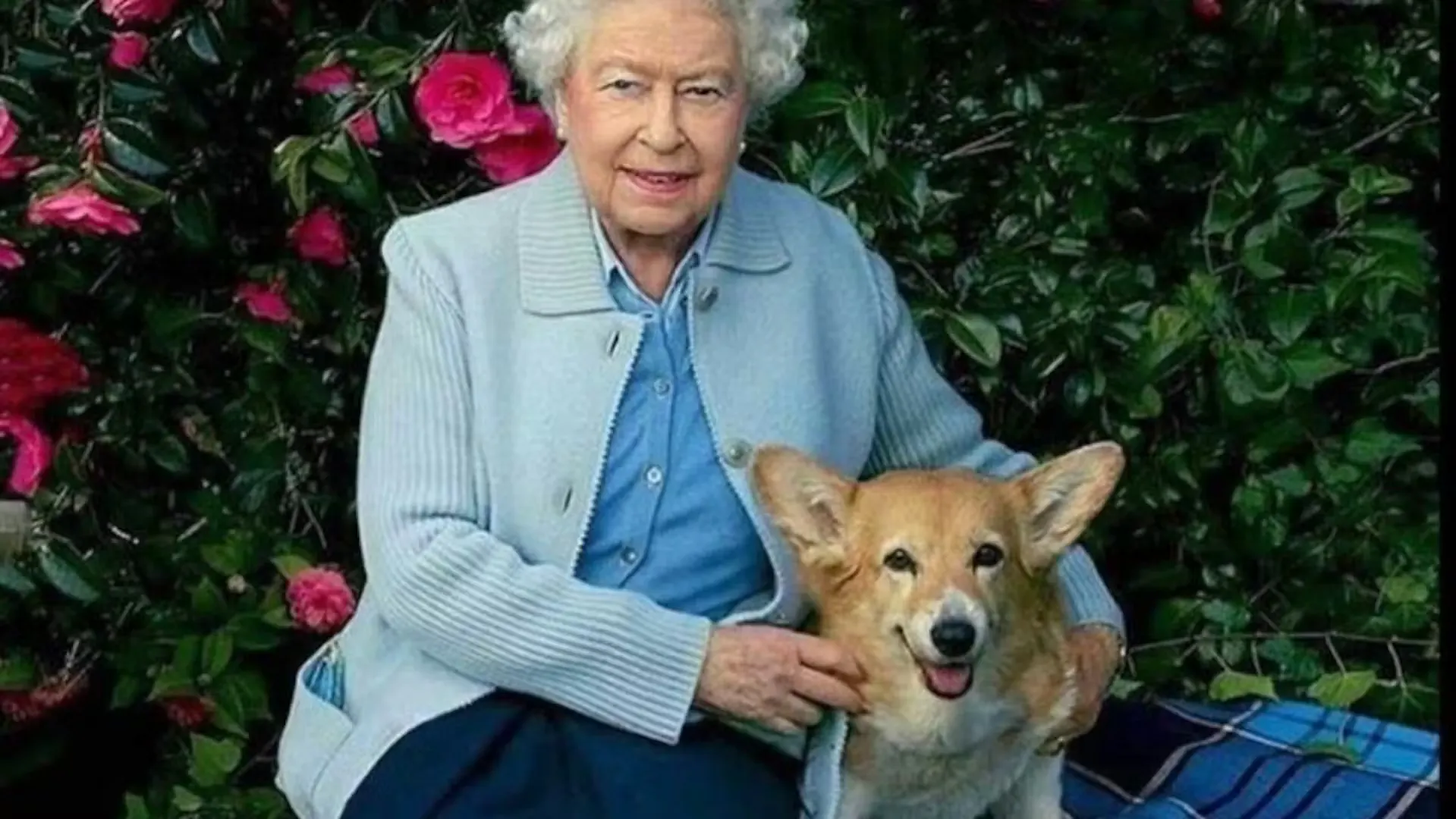 The Queen sitting with her corgi