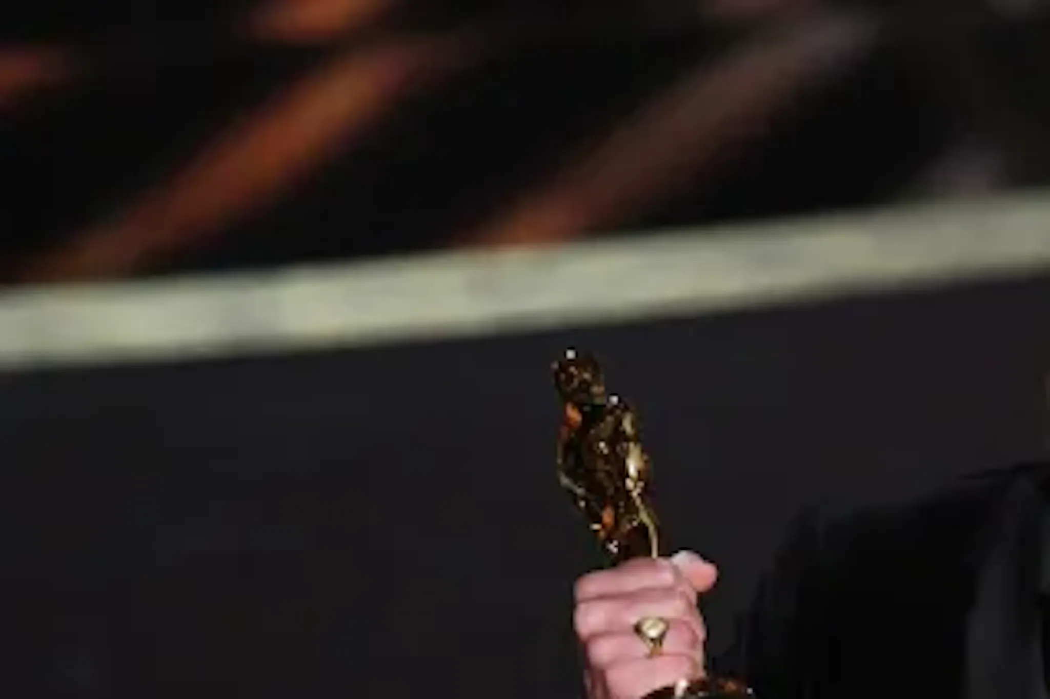 Brad Pitt Awards