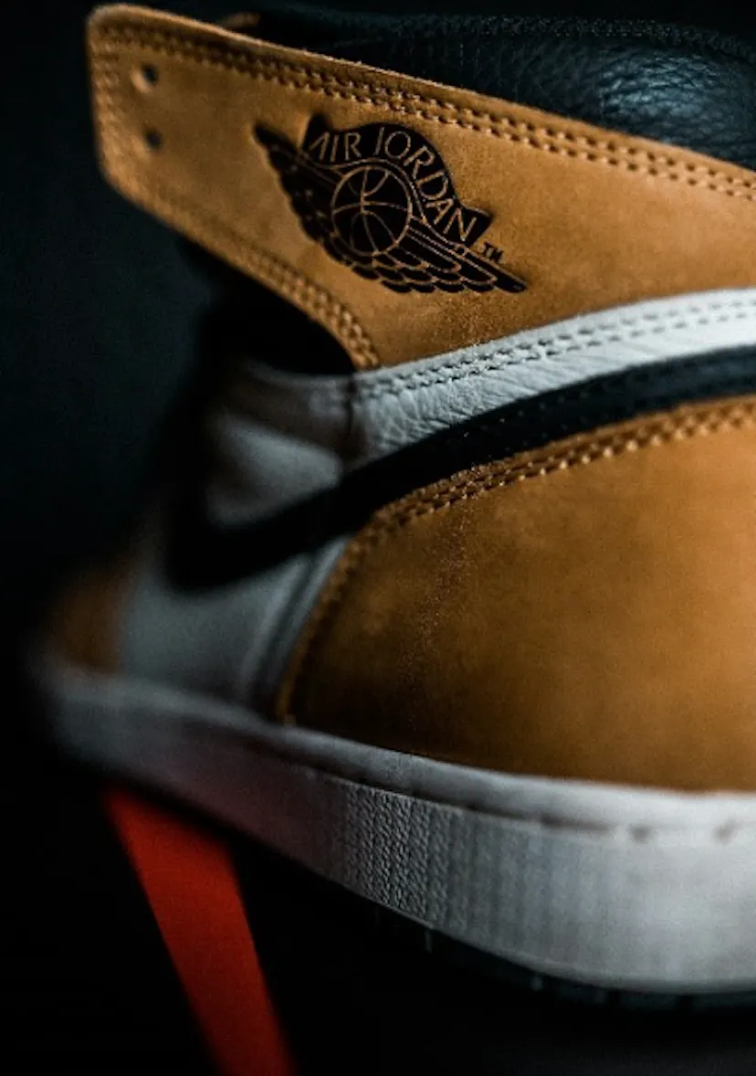 Michael Jordan: Life Off The Court  Air Jordan shoe