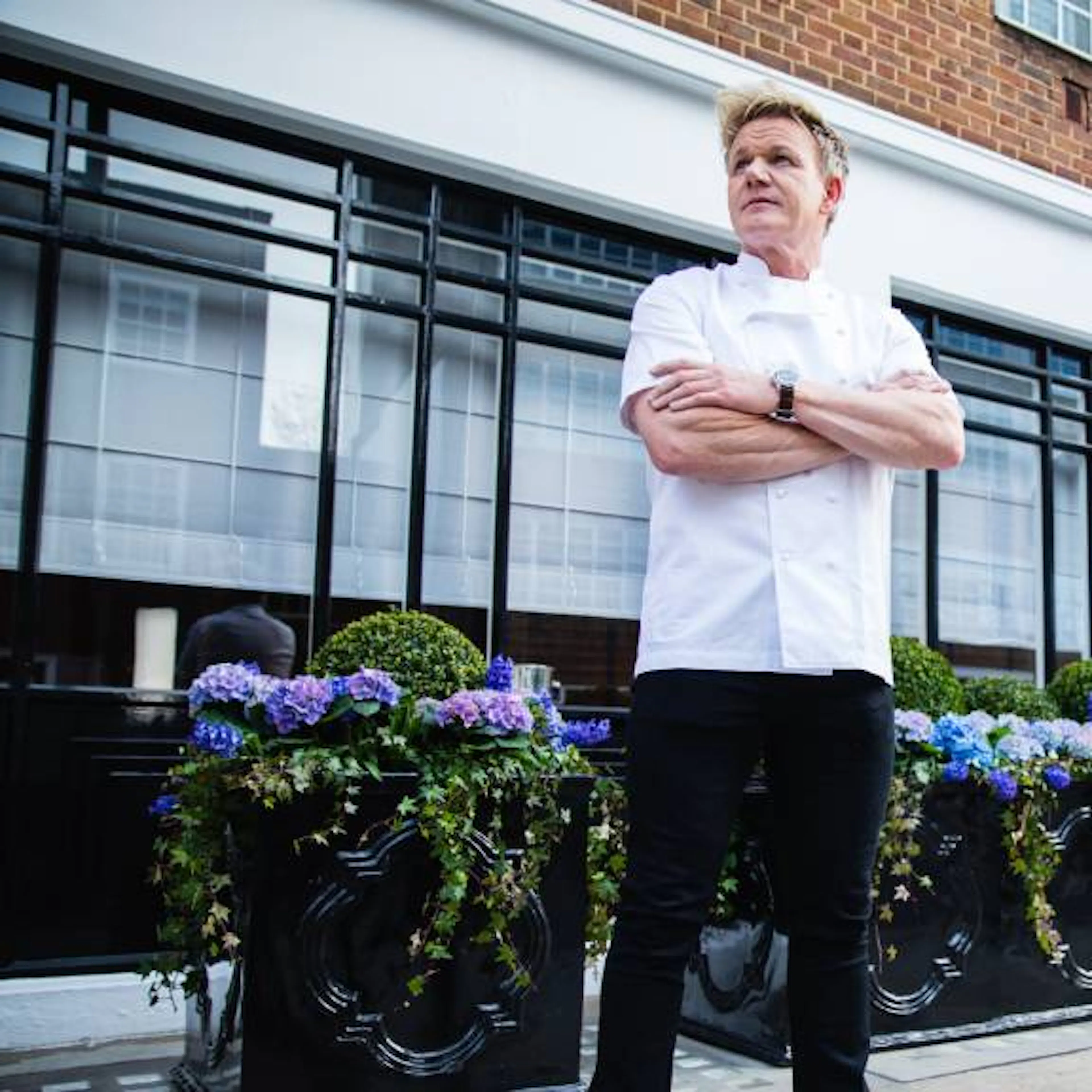 The Michelin Maestro: The Unstoppable Rise of Gordon Ramsay 