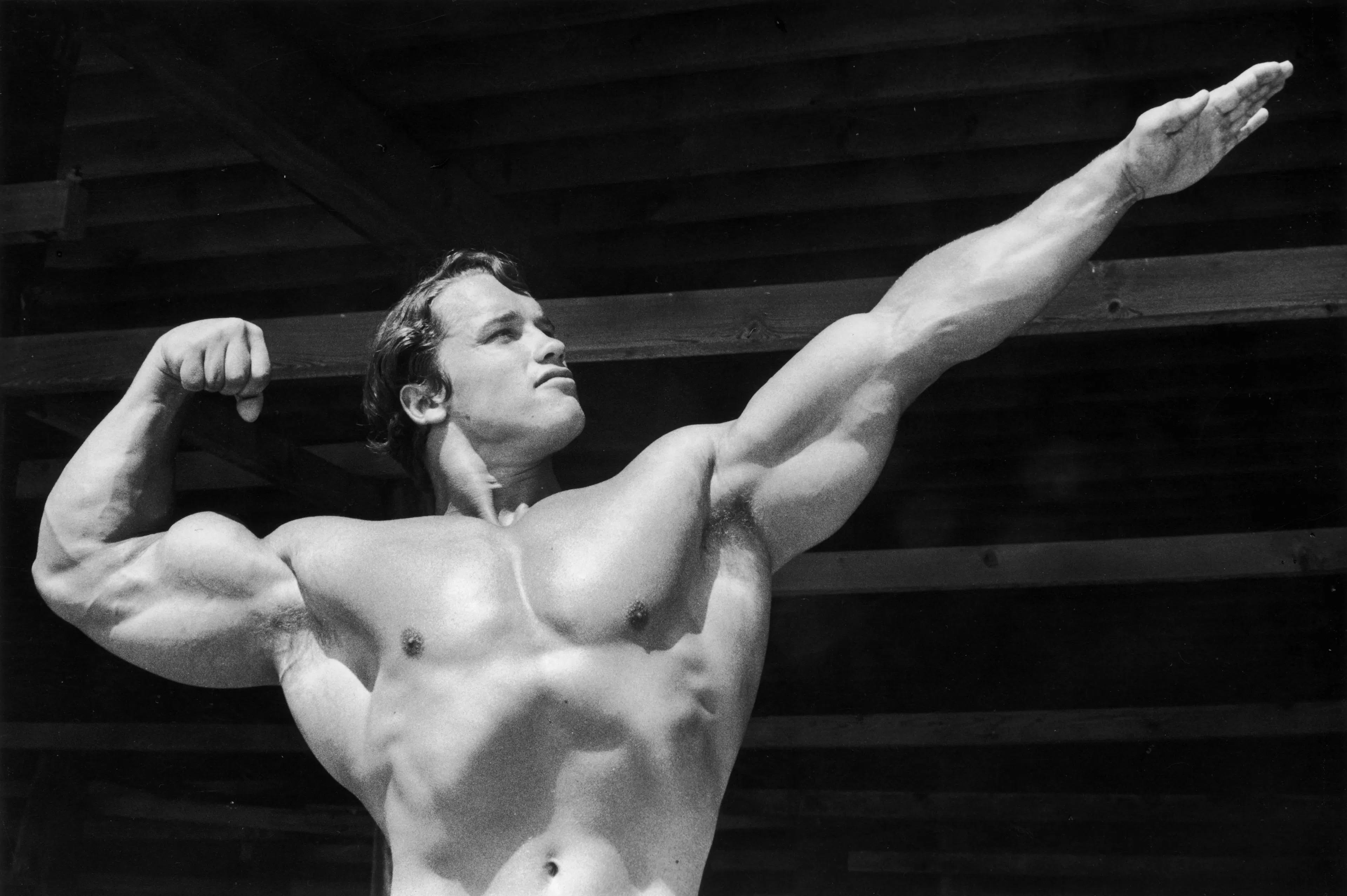 Arnold Schwarzenegger's triumphs in bodybuilding, including seven Mr. Olympia titles, solidified his status as a legend in the fitness world.