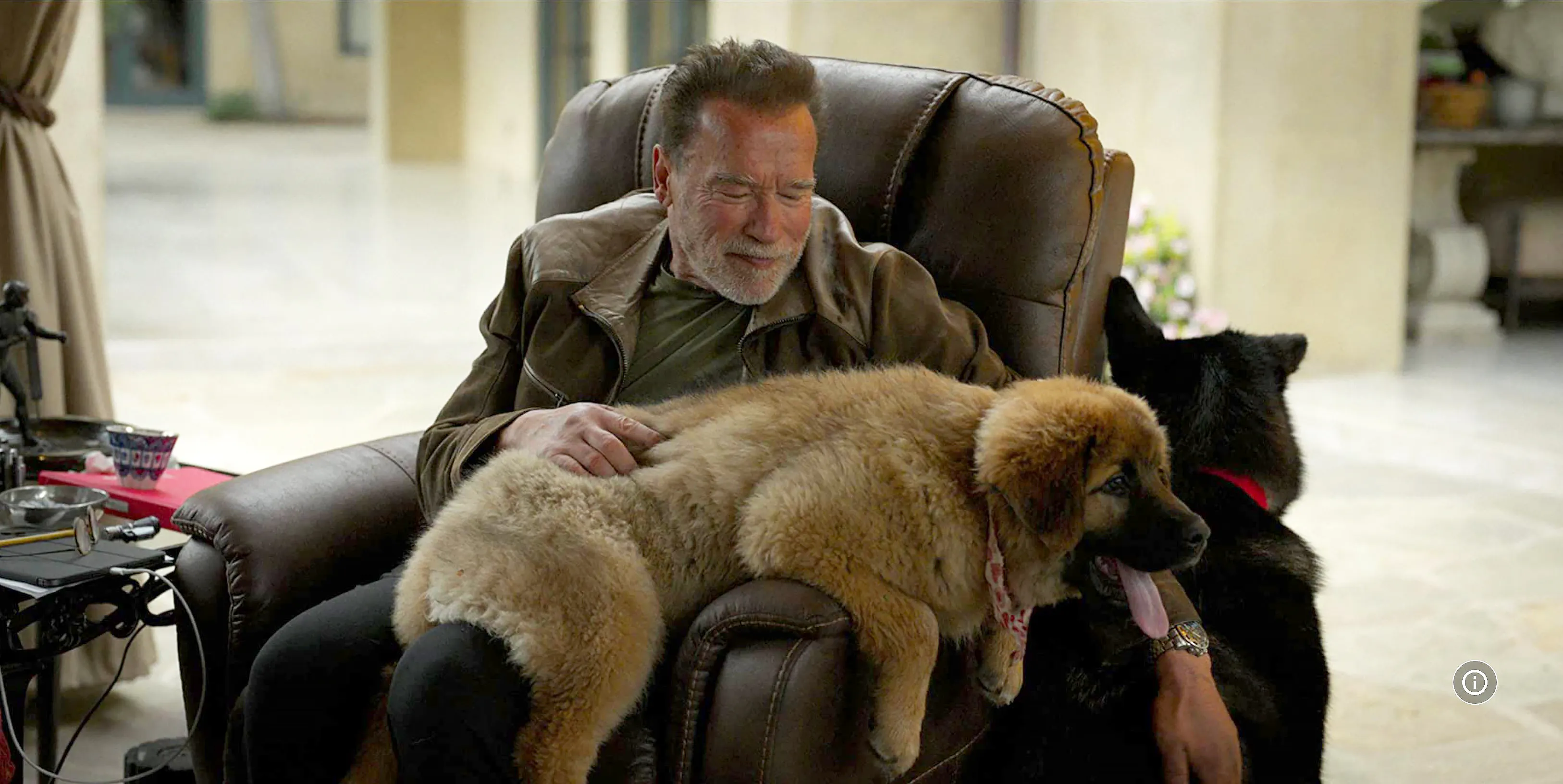 Arnold Schwarzenegger: The Ageless Hero of Reinvention