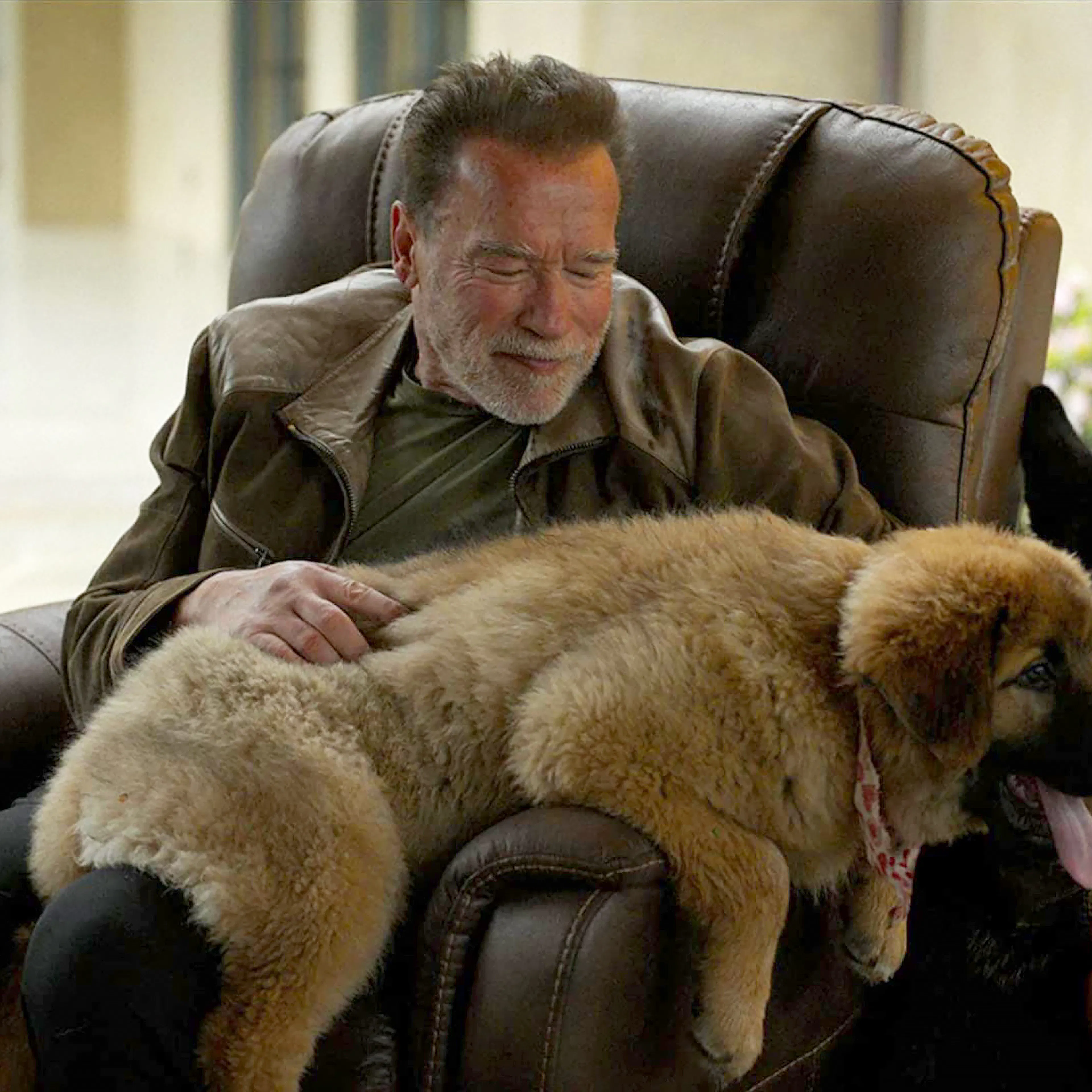 Arnold Schwarzenegger: The Ageless Hero of Reinvention