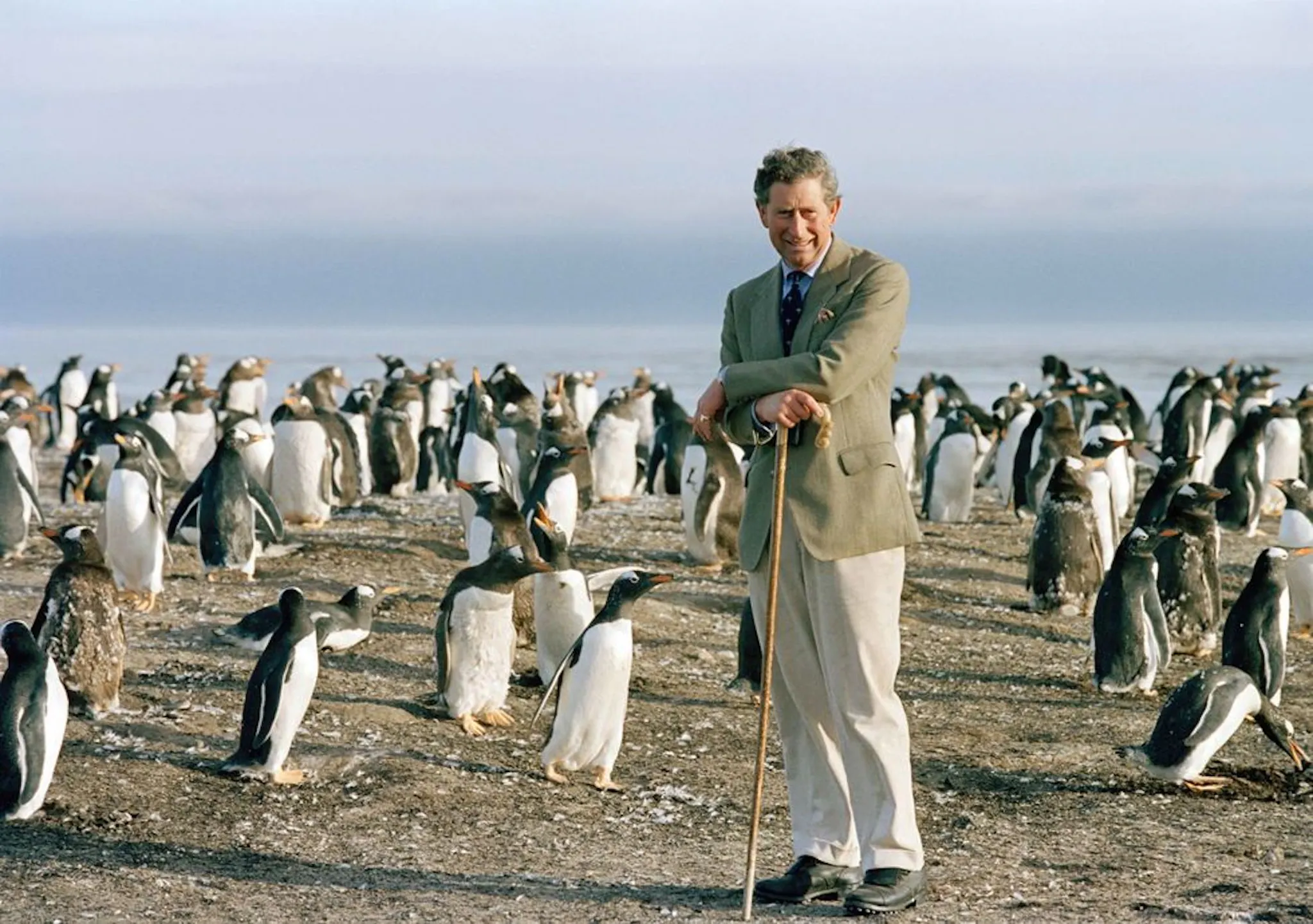 A Committed Environmentalist