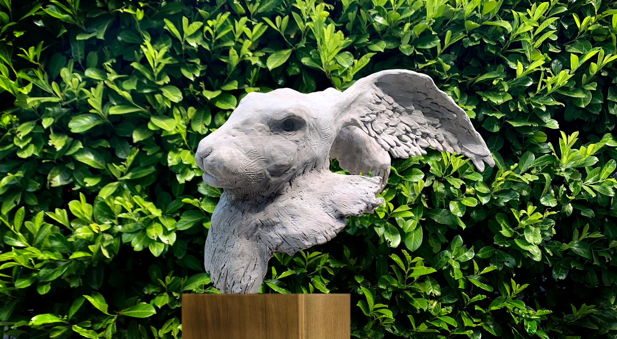 A rabbit's head.