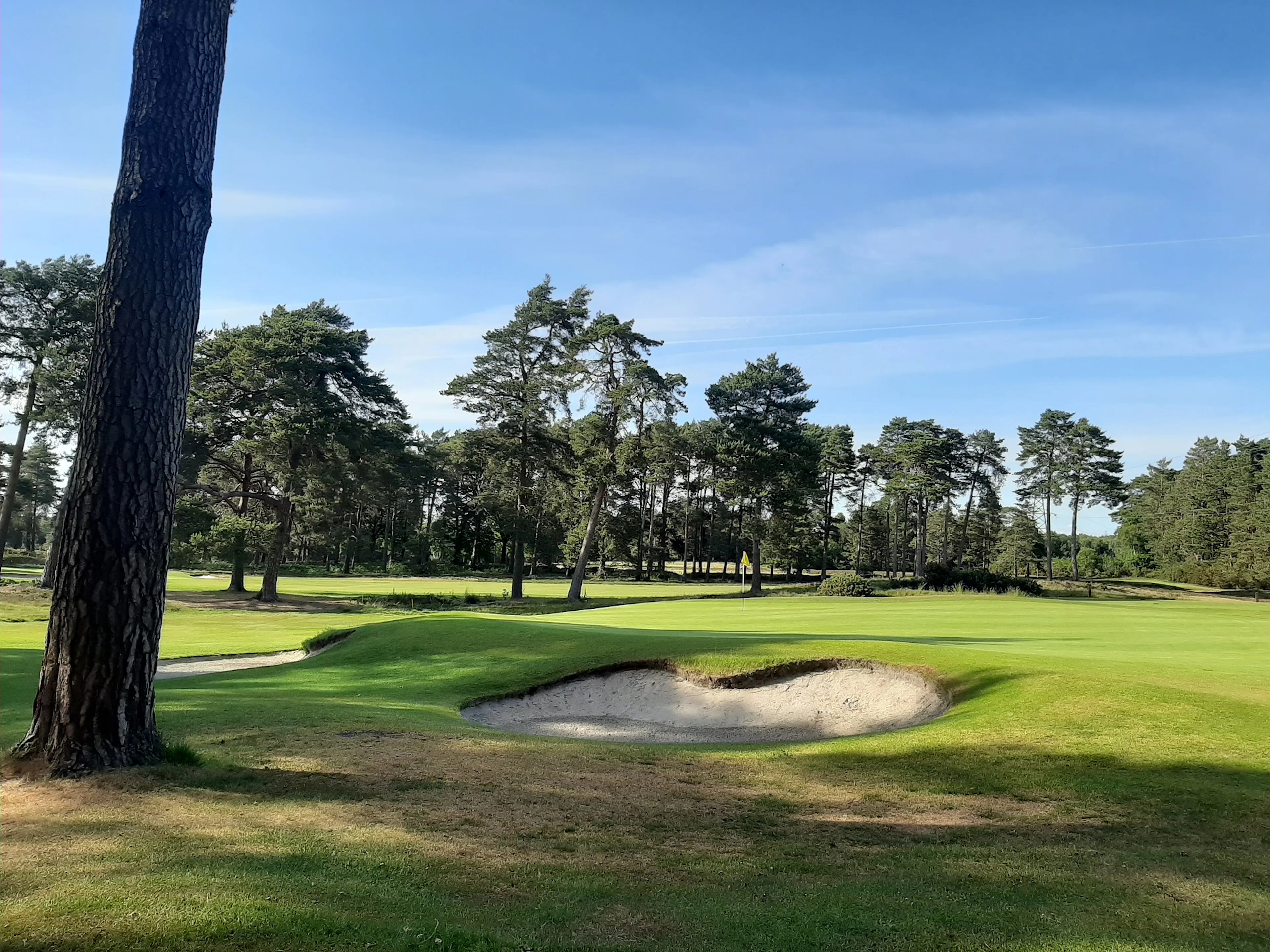 A shaded bunker on the Blackmoor golf course
