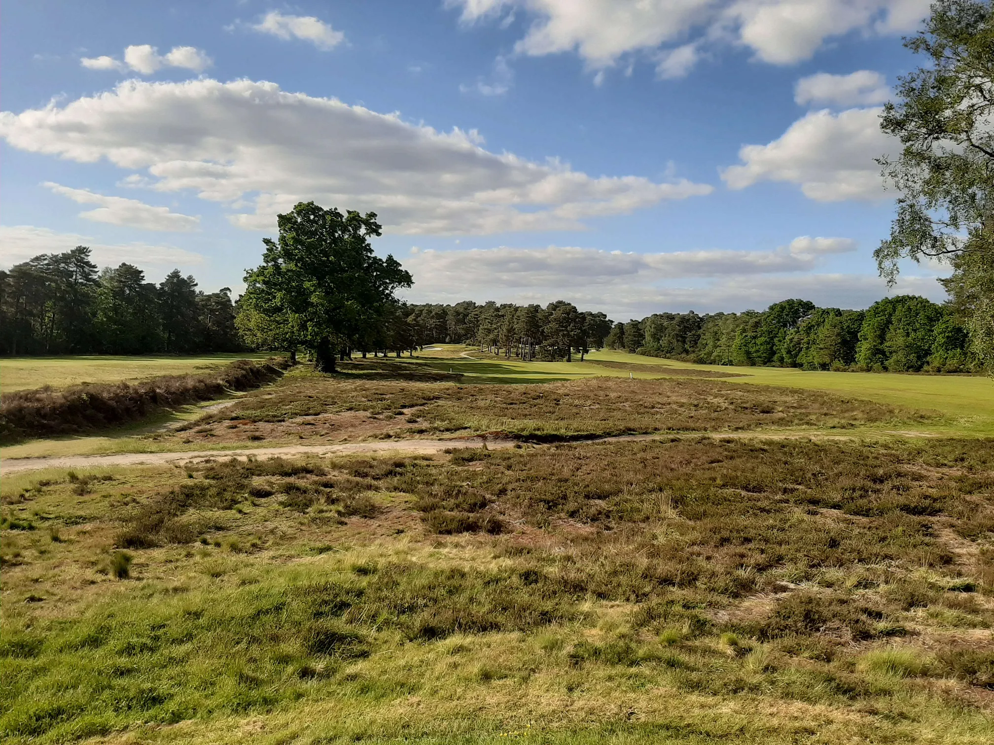 Blackmoor golf course
