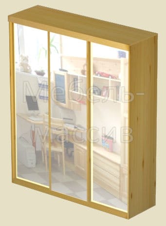 Шкаф-купе 220_3