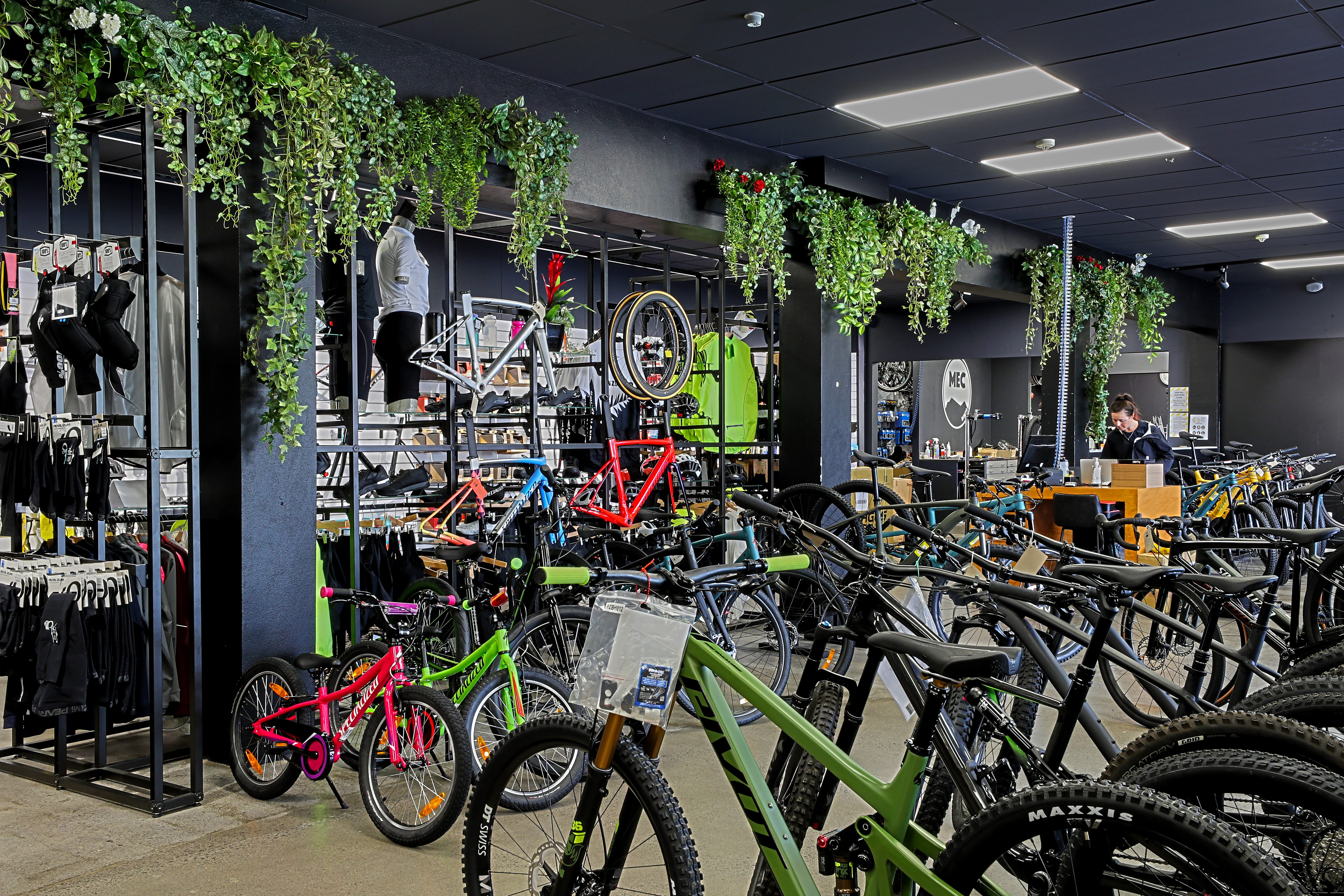 mount eden cycles