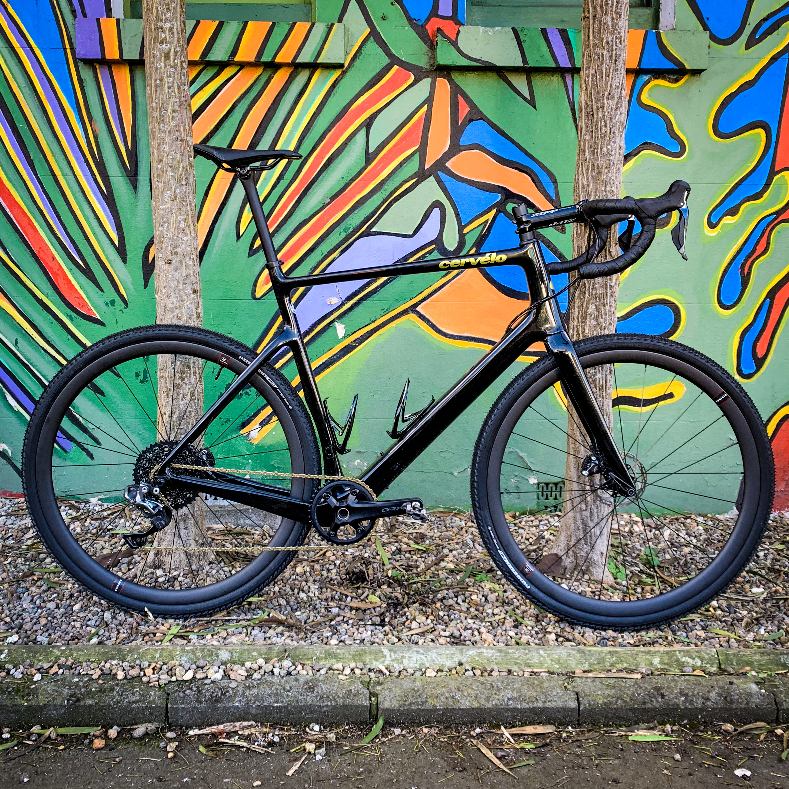 Mt eden bikes sale