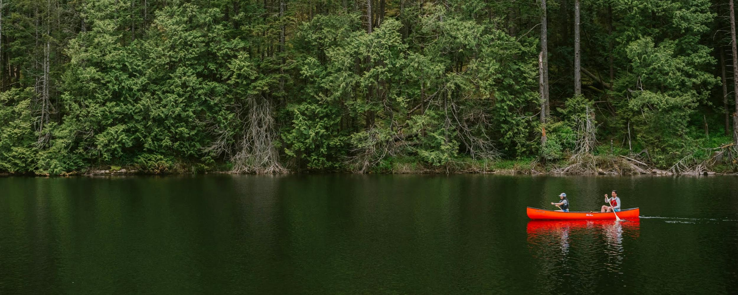 Actions we’re taking MEC