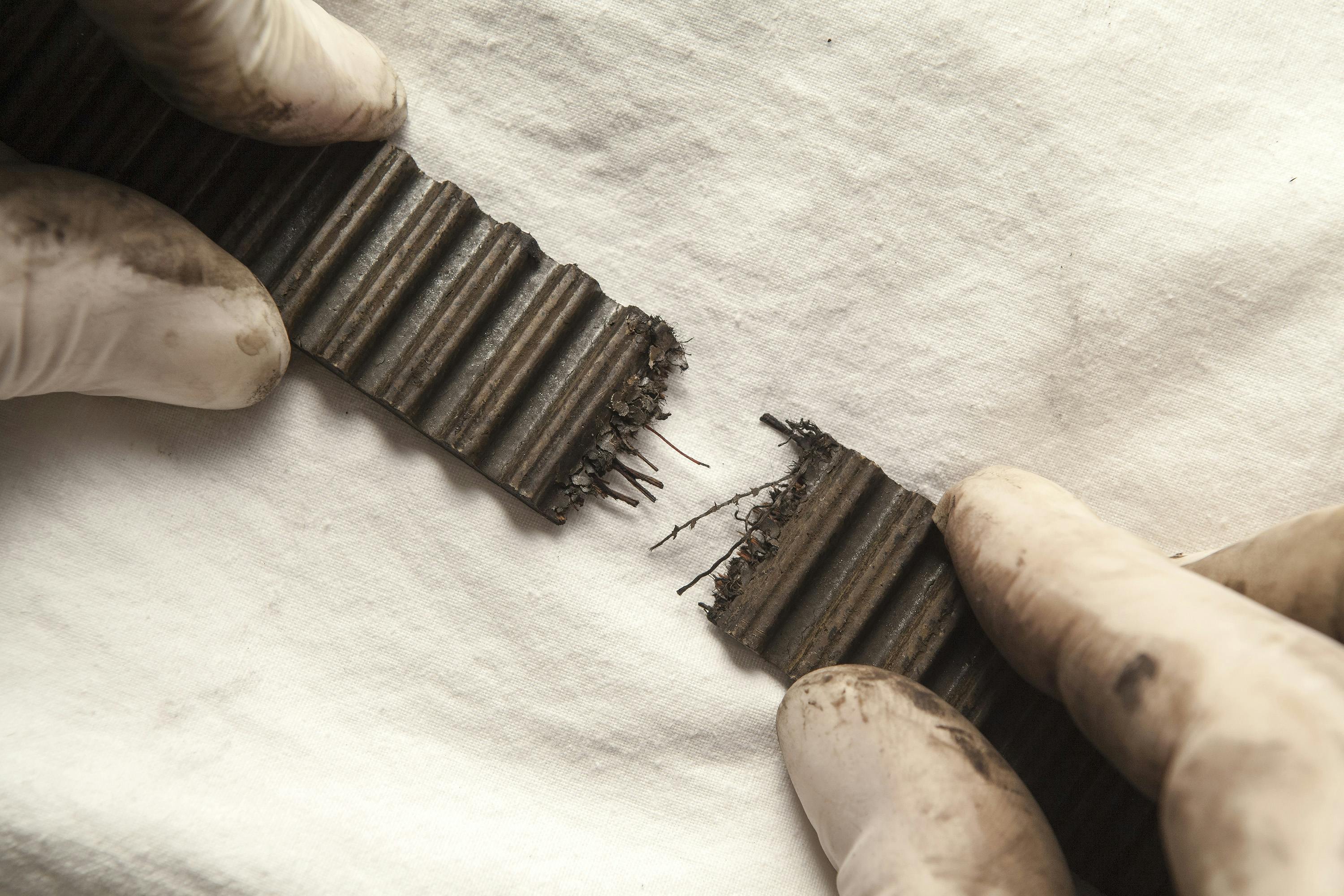 two gloved hands holding a broken car engine timing belt