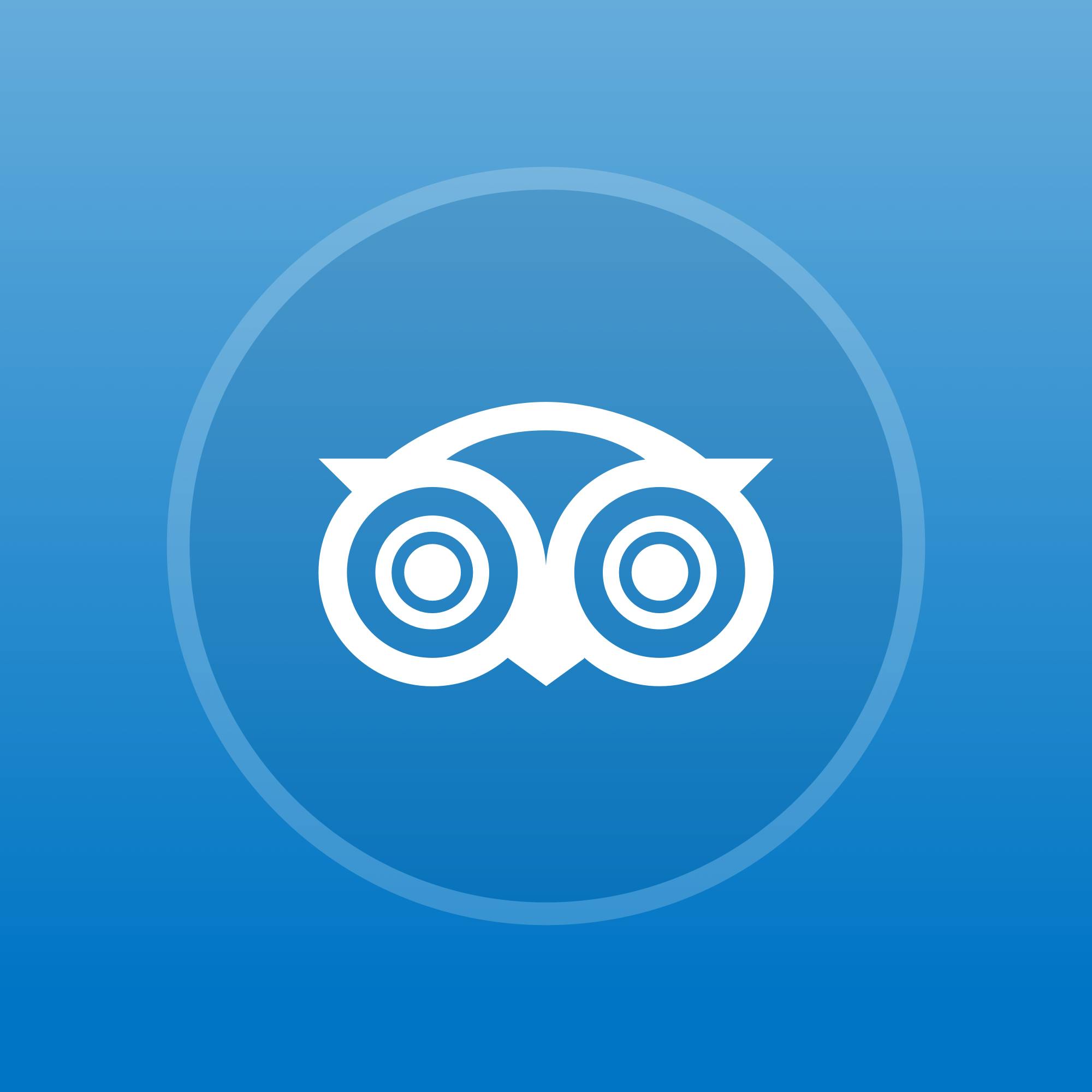 Medallia for TripAdvisor Reviews