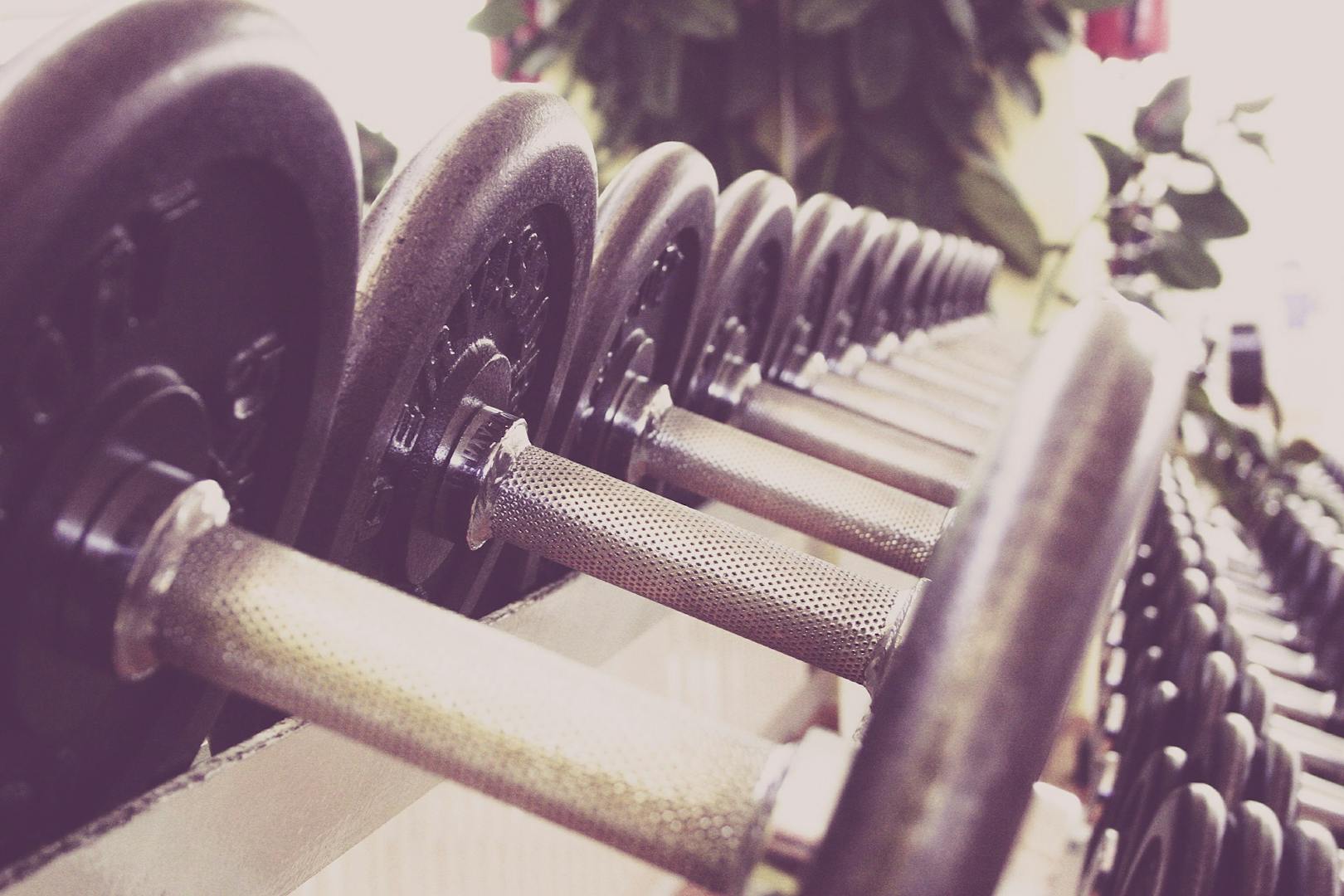 Dumbbells on a rack.