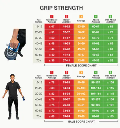 Grip strength chart