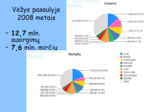 2011-05-27 LSDr konferencija, skaidrės iš G.Smailytės (Lietuva) pranešimo