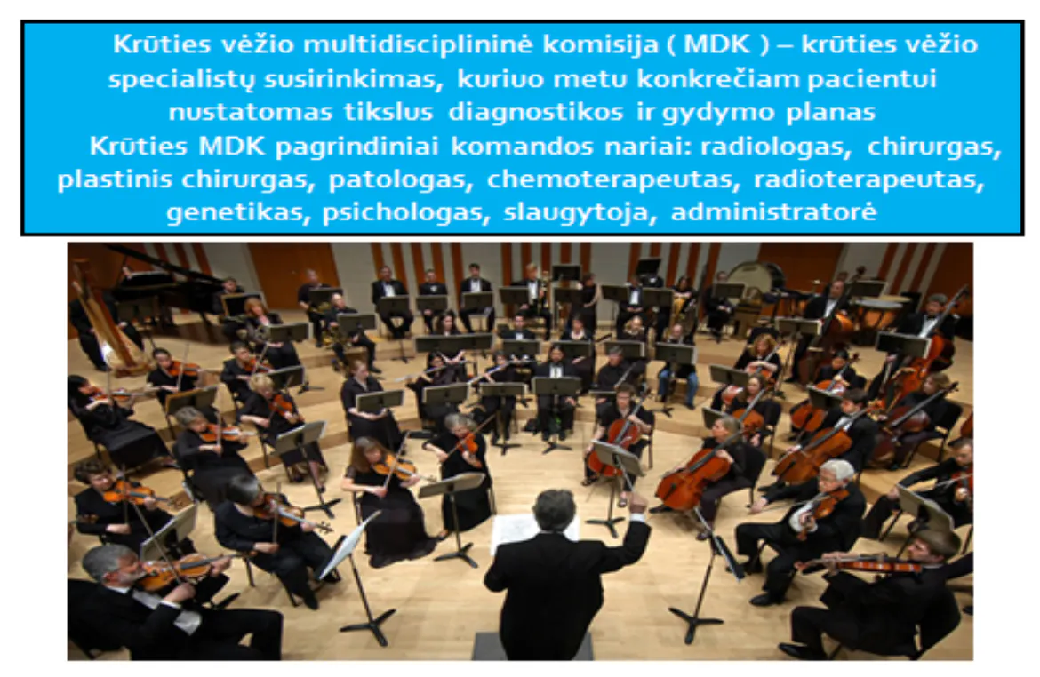 2016-10-21 konferencija Skaidrės iš prof. V.Ostapenko pranešimo