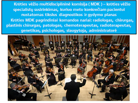 Skaidrė iš V. Ostapenko pranešimo „Krūties vėžio multidisciplinine komisija“