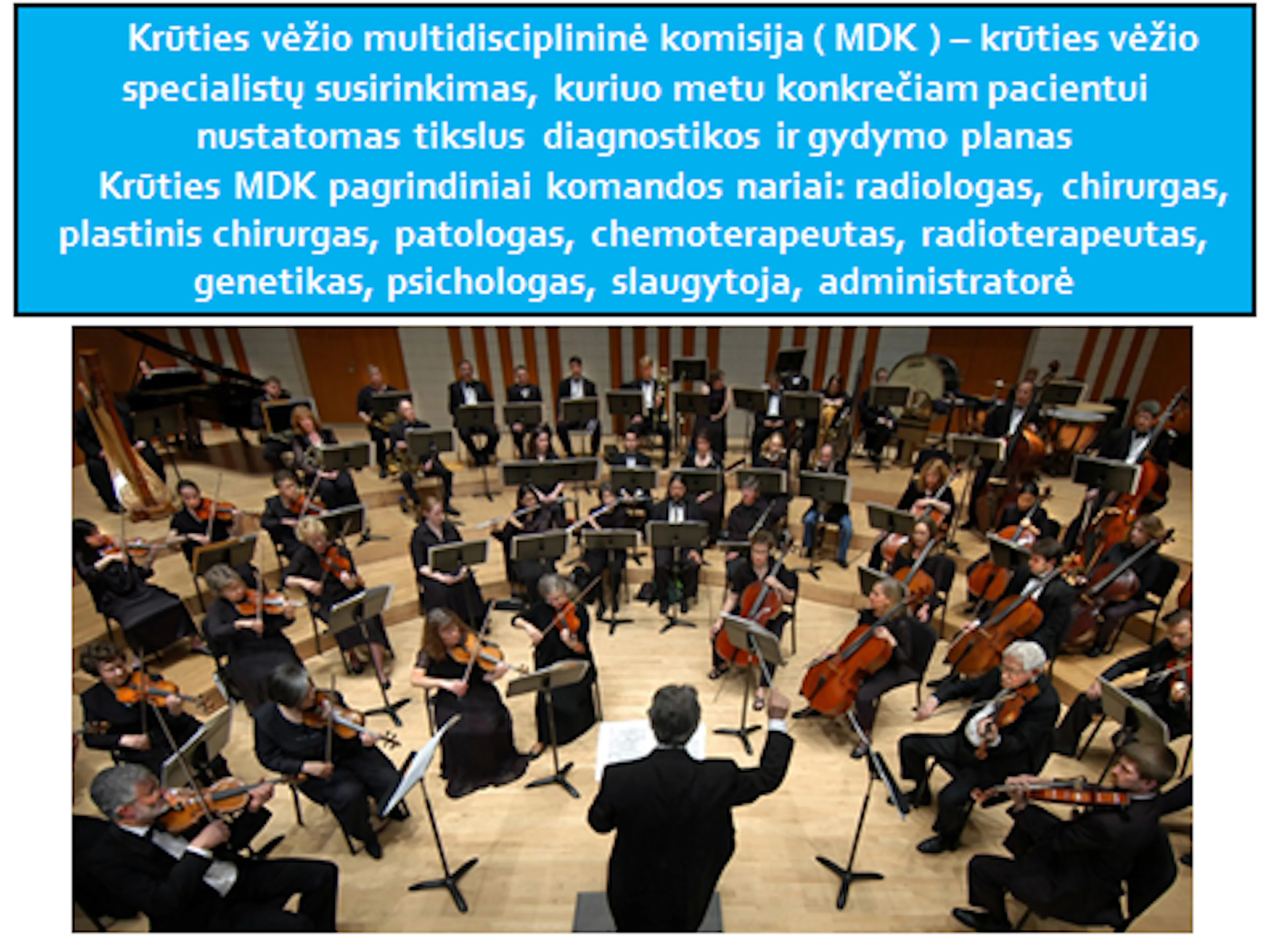 Skaidrė iš V. Ostapenko pranešimo „Krūties vėžio multidisciplinine komisija“