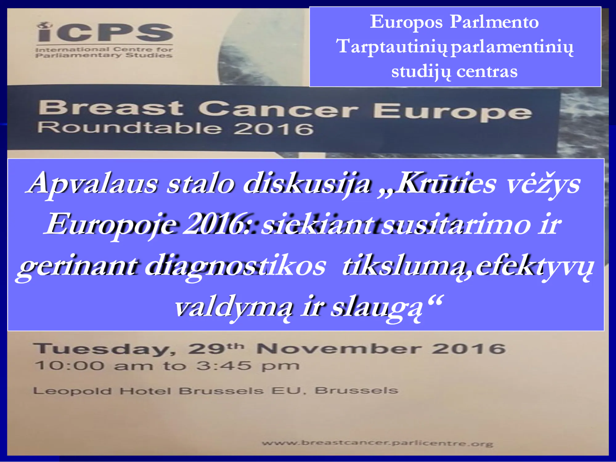 Europos Parlamento Tarptautinių studijų apvalaus stalo diskusija