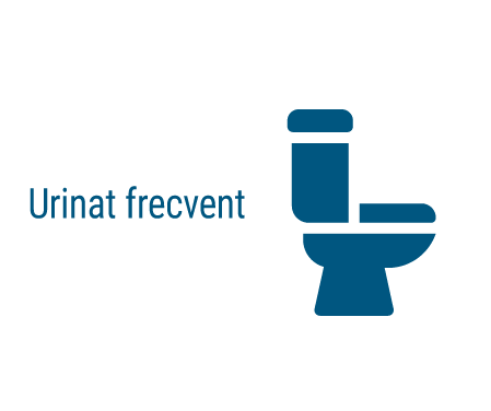 Urinat frecvent
