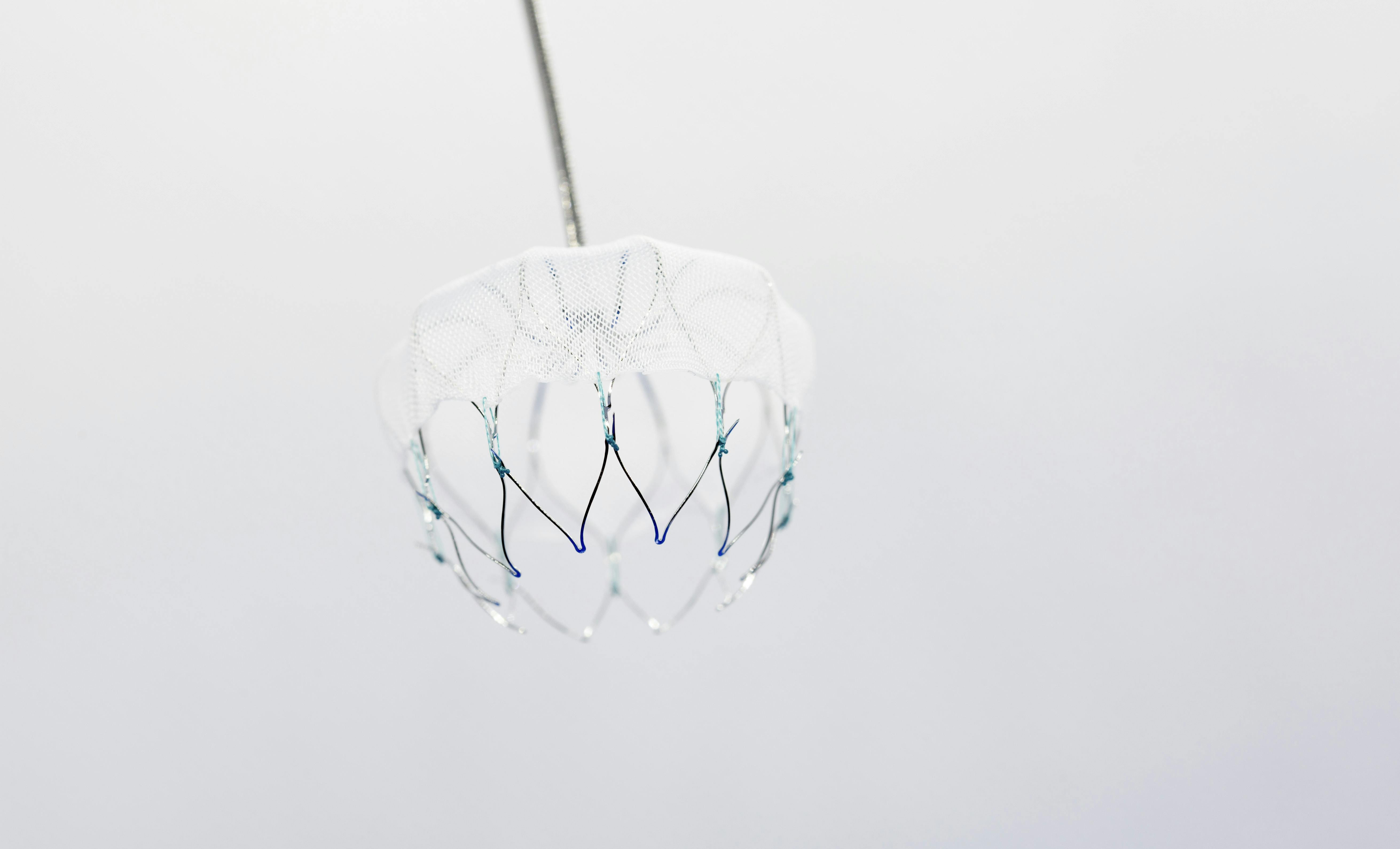 Dispozitivul Watchman