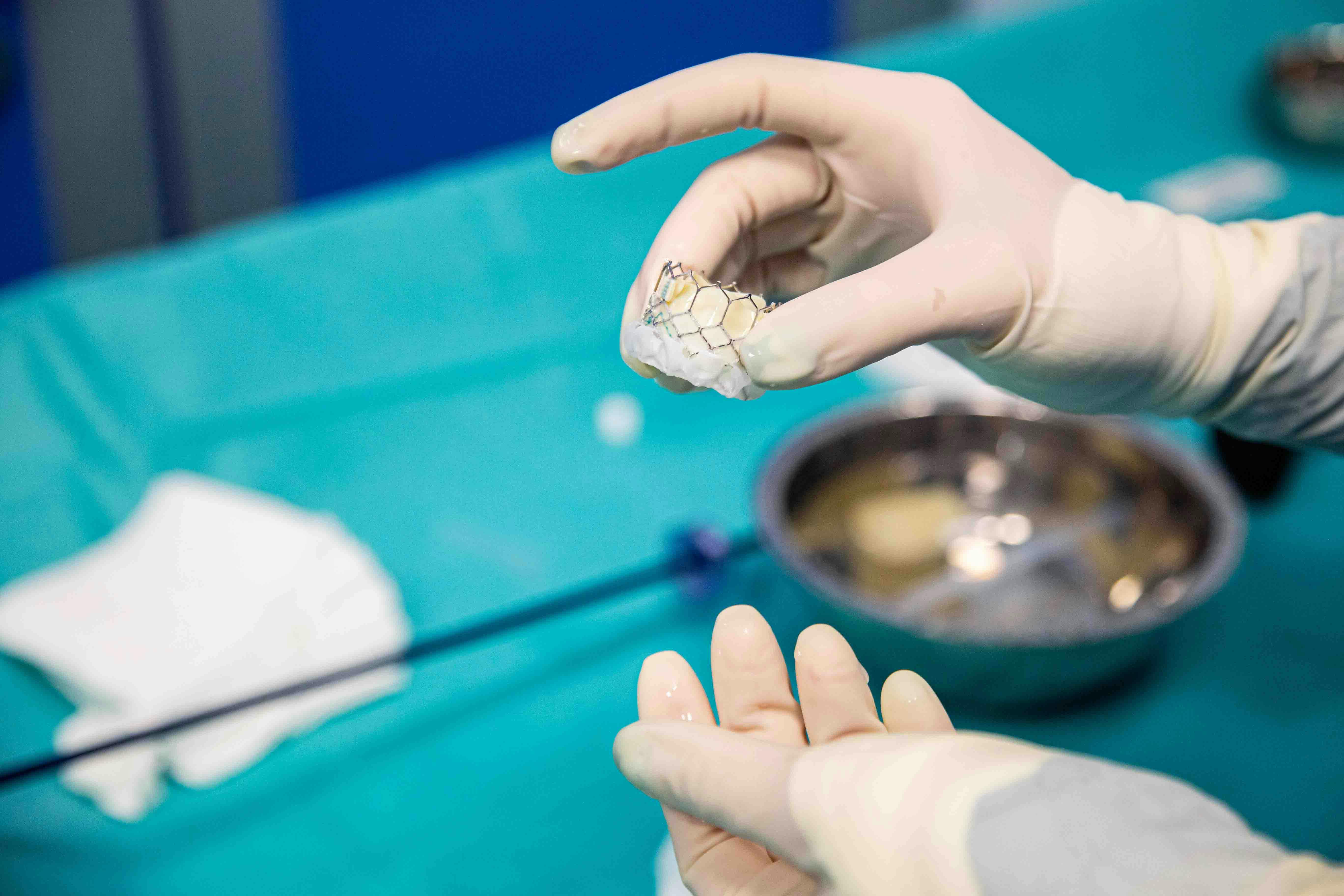 Proteză valvulară aortică înainte de a fi montată pe cateterul de livrare