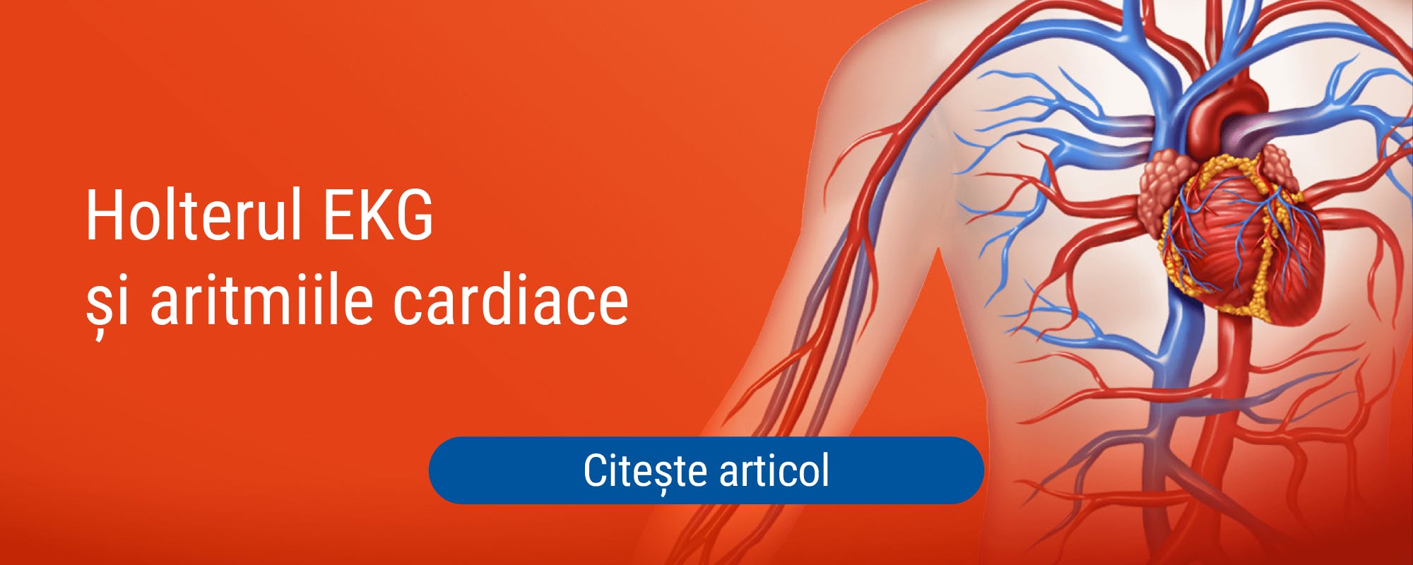 Aritmiile cardiace si holterul ekg