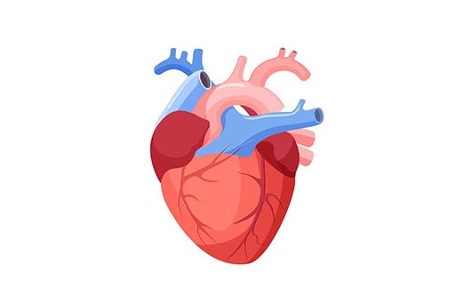 Cum să prevenim apariția bolilor coronariene? - Centrele ARES | Lider in Cardiologie