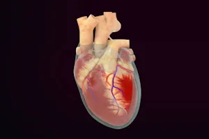 Pericardita: cauze, simptome și opțiuni de tratament