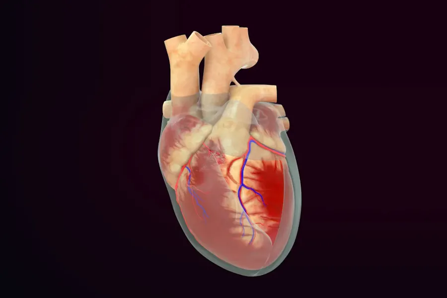 Pericardita: cauze, simptome și opțiuni de tratament