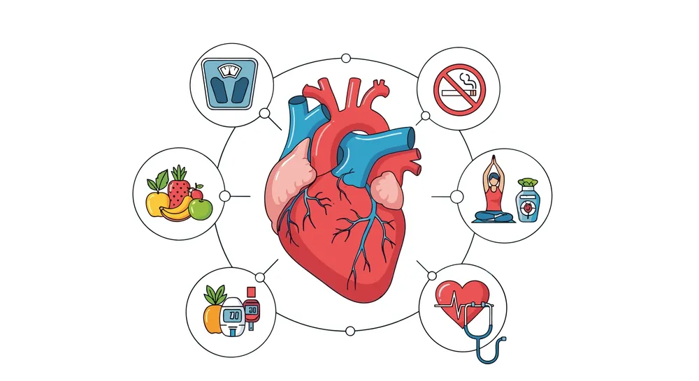 ilustratie cu recomandari preventie boli de inima 